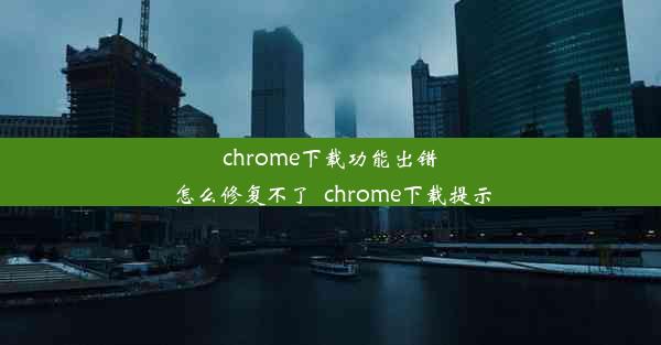 chrome下载功能出错怎么修复不了_chrome下载提示