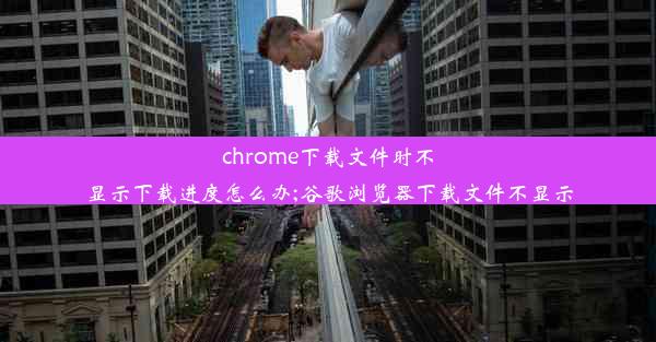 chrome下载文件时不显示下载进度怎么办;谷歌浏览器下载文件不显示