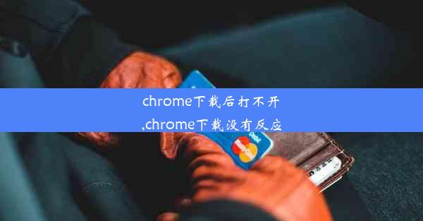 chrome下载后打不开,chrome下载没有反应