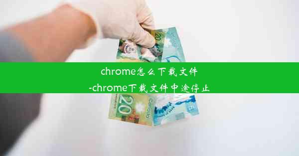 chrome怎么下载文件-chrome下载文件中途停止