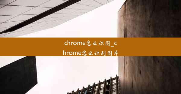 chrome怎么识图_chrome怎么识别图片