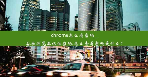 chrome怎么看密码_谷歌浏览器记住密码,怎么查看密码是什么？