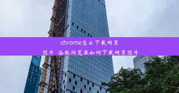 chrome怎么下载网页图片_谷歌浏览器如何下载网页图片