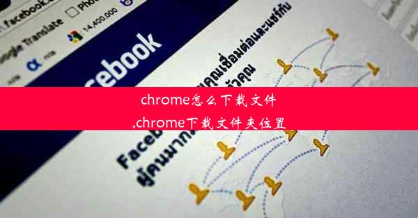 chrome怎么下载文件,chrome下载文件夹位置