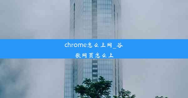 chrome怎么上网_谷歌网页怎么上