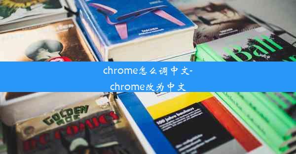 chrome怎么调中文-chrome改为中文