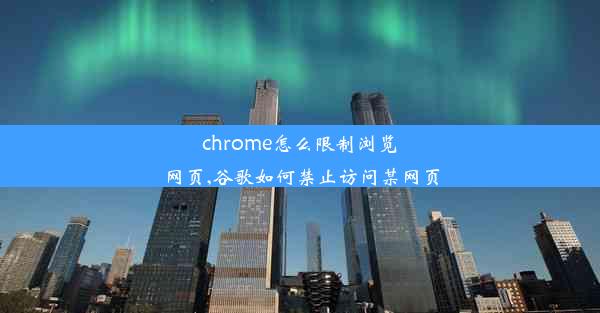 chrome怎么限制浏览网页,谷歌如何禁止访问某网页