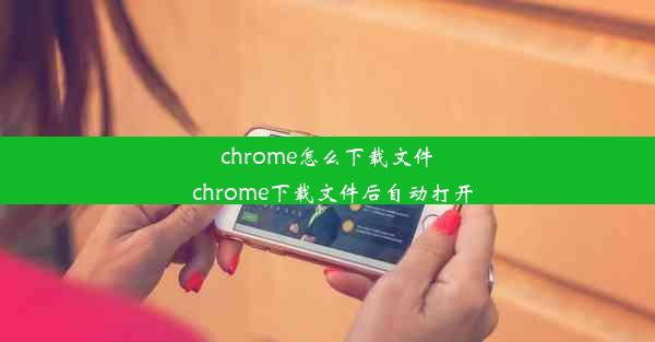 chrome怎么下载文件_chrome下载文件后自动打开