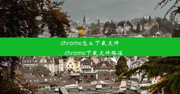 chrome怎么下载文件、chrome下载文件路径