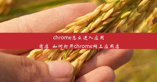 chrome怎么进入应用商店_如何打开chrome网上应用店