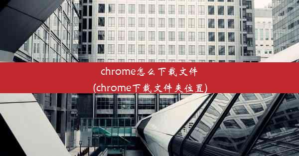 chrome怎么下载文件(chrome下载文件夹位置)