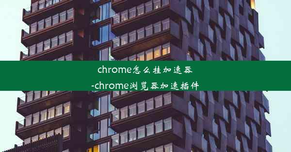 chrome怎么挂加速器-chrome浏览器加速插件