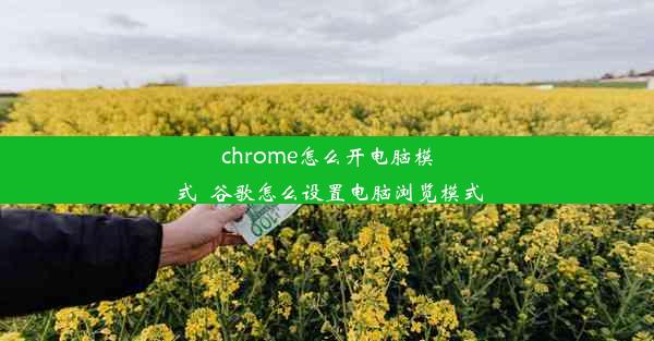 chrome怎么开电脑模式_谷歌怎么设置电脑浏览模式