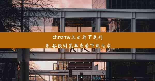 chrome怎么看下载列表,谷歌浏览器查看下载内容