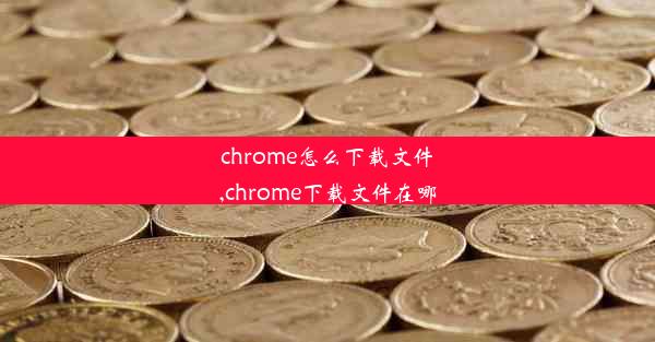 chrome怎么下载文件,chrome下载文件在哪