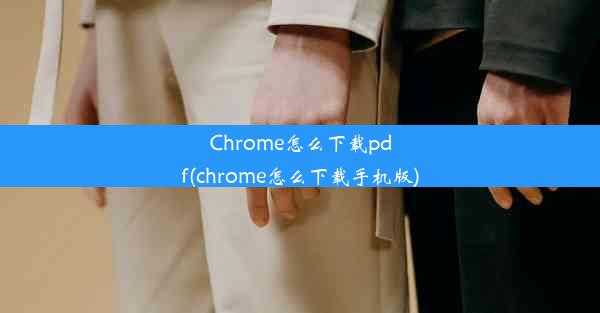 Chrome怎么下载pdf(chrome怎么下载手机版)