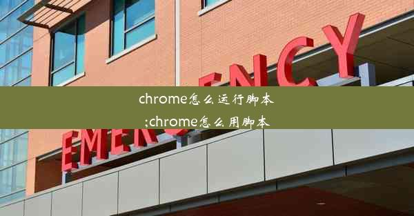 chrome怎么运行脚本;chrome怎么用脚本