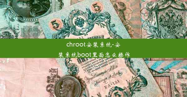 chroot安装系统-安装系统boot里面怎么操作