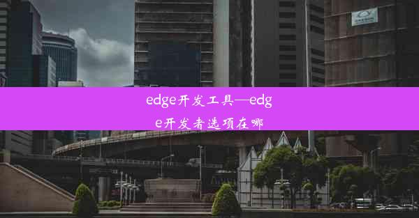 edge开发工具—edge开发者选项在哪