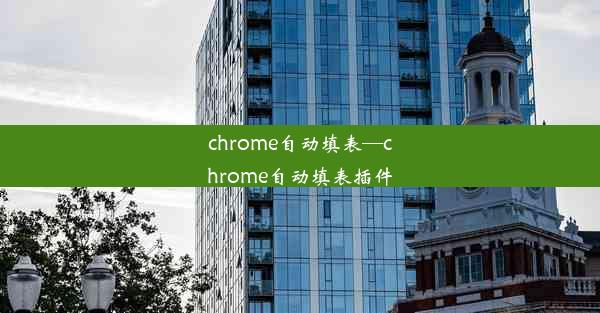 chrome自动填表—chrome自动填表插件