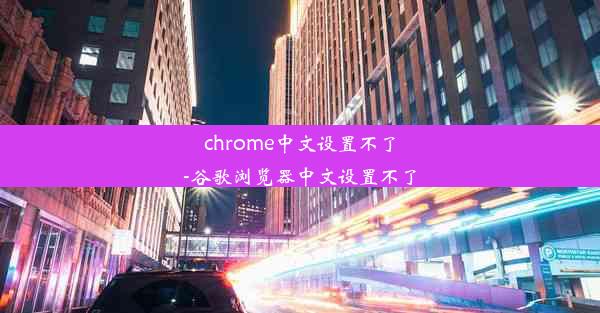 chrome中文设置不了-谷歌浏览器中文设置不了