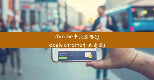 chrome中文意思(google chrome中文意思)