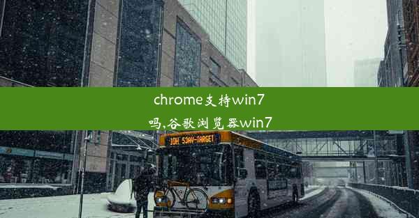 chrome支持win7吗,谷歌浏览器win7