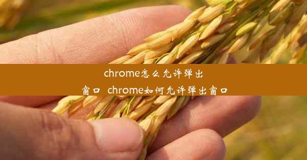 chrome怎么允许弹出窗口_chrome如何允许弹出窗口