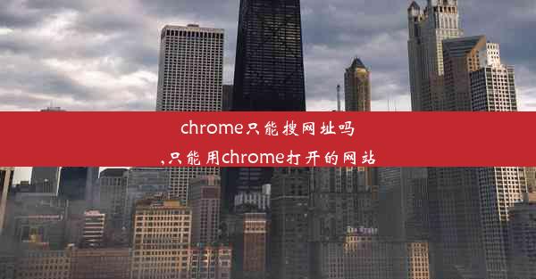 chrome只能搜网址吗,只能用chrome打开的网站