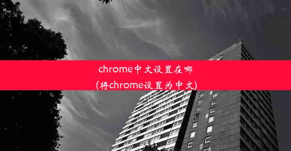 chrome中文设置在哪(将chrome设置为中文)