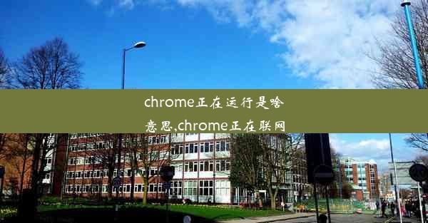 chrome正在运行是啥意思,chrome正在联网