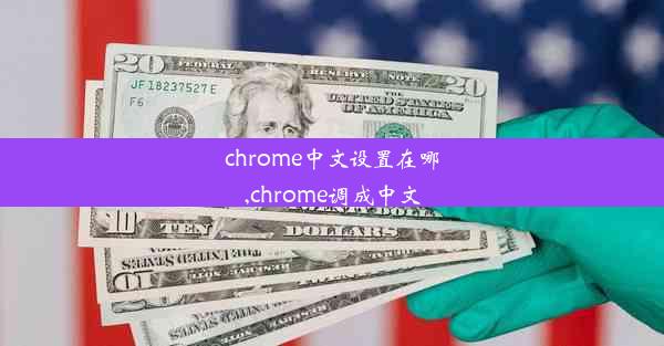 chrome中文设置在哪,chrome调成中文