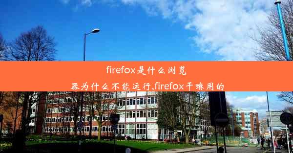 firefox是什么浏览器为什么不能运行,firefox干嘛用的