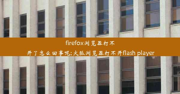 firefox浏览器打不开了怎么回事呢;火狐浏览器打不开flash player