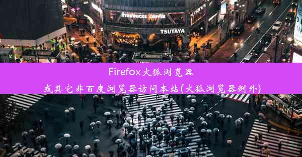 Firefox火狐浏览器或其它非百度浏览器访问本站(火狐浏览器例外)