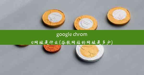 google chrome网址是什么(谷歌网站的网址是多少)