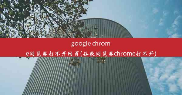 google chrome浏览器打不开网页(谷歌浏览器chrome打不开)