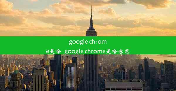 google chrome是啥_google chrome是啥意思