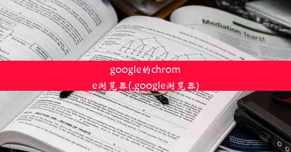 google的chrome浏览器(.google浏览器)