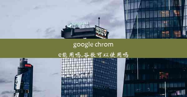 google chrome能用吗,谷歌可以使用吗