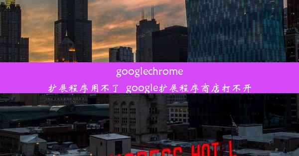 googlechrome扩展程序用不了_google扩展程序商店打不开