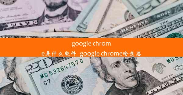 google chrome是什么软件_google chrome啥意思