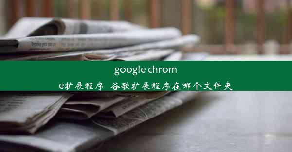 google chrome扩展程序_谷歌扩展程序在哪个文件夹