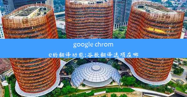 google chrome的翻译功能;谷歌翻译选项在哪