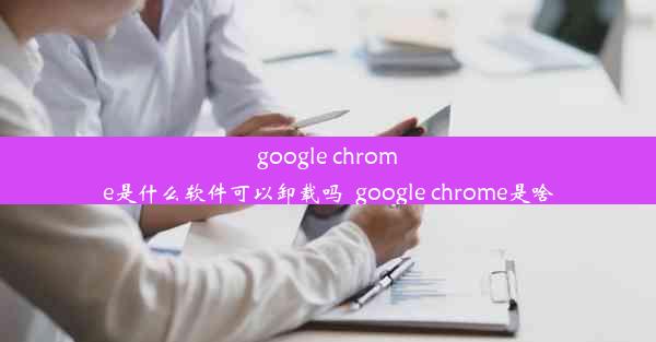 google chrome是什么软件可以卸载吗_google chrome是啥