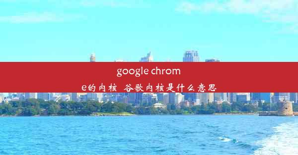 google chrome的内核_谷歌内核是什么意思