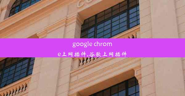 google chrome上网插件,谷歌上网插件