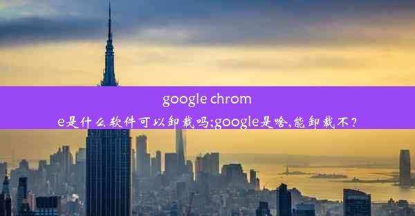 google chrome是什么软件可以卸载吗;google是啥,能卸载不？