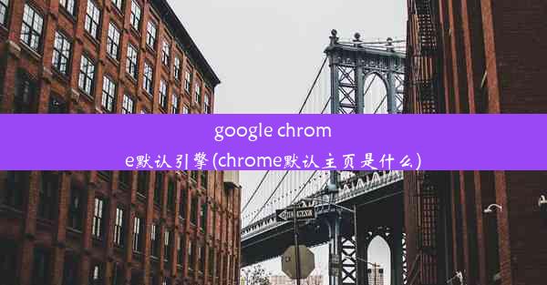 google chrome默认引擎(chrome默认主页是什么)