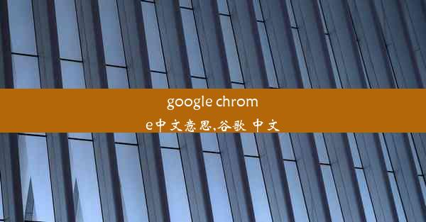 google chrome中文意思,谷歌 中文